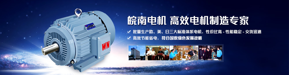 電機(jī)生產(chǎn)廠家 電機(jī)生產(chǎn)廠家