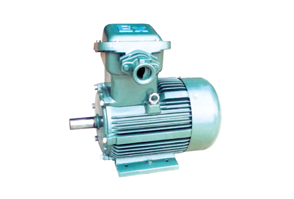 YFB系列粉塵防爆型三相異步電動機(jī)(已停產(chǎn)) YFB系列粉塵防爆型三相異步電動機(jī)(已停產(chǎn))