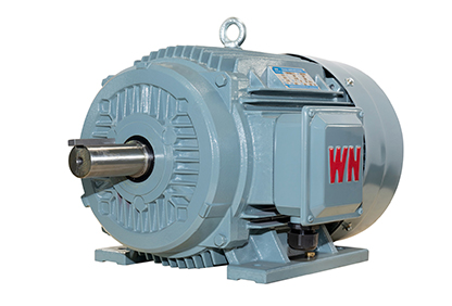 TYCP系列三相變頻驅(qū)動永磁同步電動機 TYCP系列三相變頻驅(qū)動永磁同步電動機